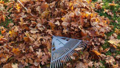 Reprise collecte des déchets végétaux